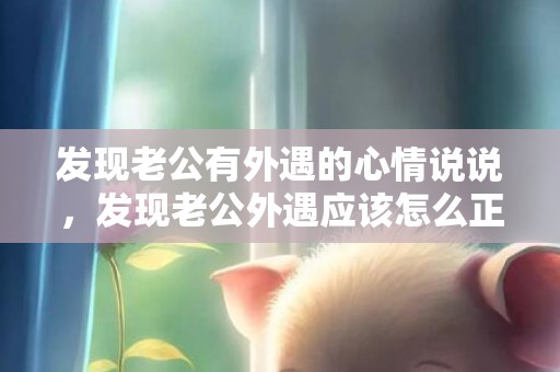 发现老公有外遇的心情说说，发现老公外遇应该怎么正确的挽回