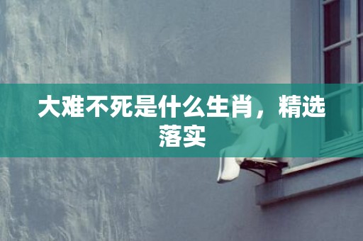 大难不死是什么生肖，精选落实