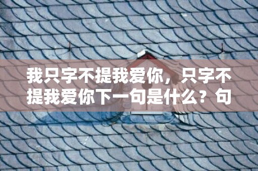 我只字不提我爱你，只字不提我爱你下一句是什么？句句不提我爱你
