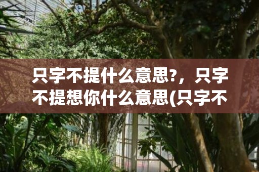 只字不提什么意思?，只字不提想你什么意思(只字不提)