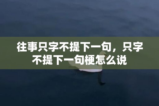 往事只字不提下一句，只字不提下一句梗怎么说