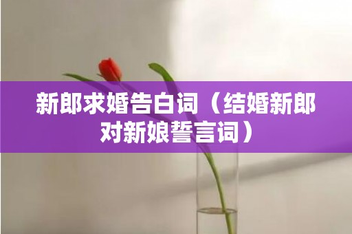 新郎求婚告白词（结婚新郎对新娘誓言词）