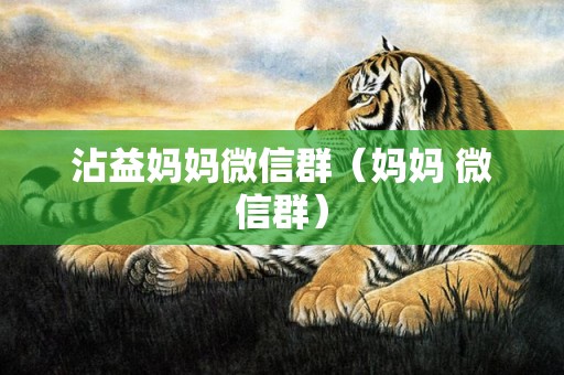 沾益妈妈微信群（妈妈 微信群）