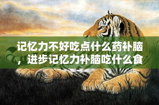 记忆力不好吃点什么药补脑，进步记忆力补脑吃什么食品 吃什么能进步记忆力
