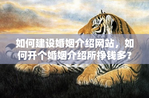 如何建设婚姻介绍网站，如何开个婚姻介绍所挣钱多？县城开婚介公司前景怎么样