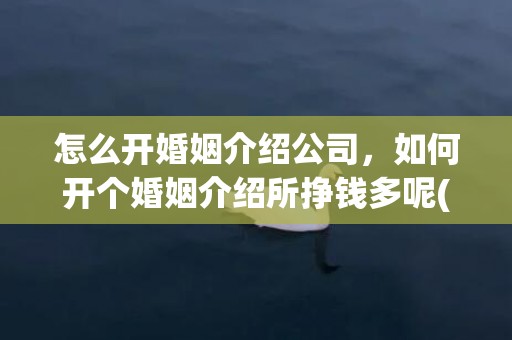 怎么开婚姻介绍公司，如何开个婚姻介绍所挣钱多呢(开一家婚姻介绍所需要多少钱)