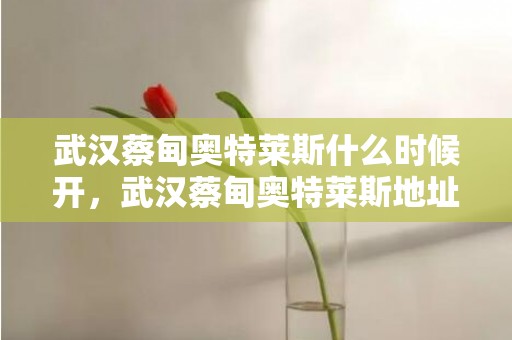 武汉蔡甸奥特莱斯什么时候开，武汉蔡甸奥特莱斯地址及开业时间