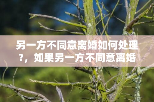 另一方不同意离婚如何处理?，如果另一方不同意离婚怎么办理离婚证