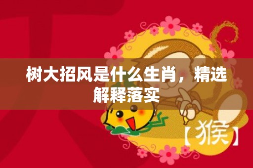 树大招风是什么生肖，精选解释落实