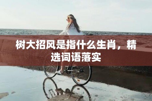 树大招风是指什么生肖，精选词语落实