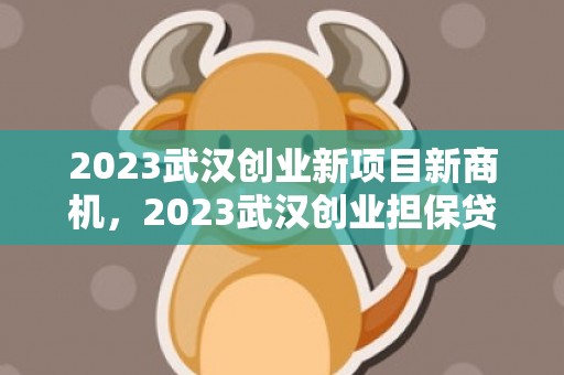 2023武汉创业新项目新商机，2023武汉创业担保贷款政策最新
