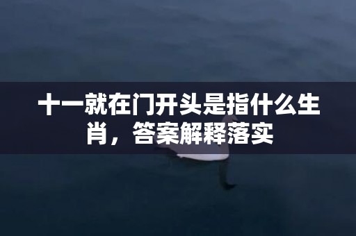 十一就在门开头是指什么生肖，答案解释落实
