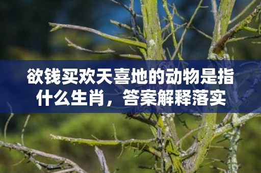 欲钱买欢天喜地的动物是指什么生肖，答案解释落实