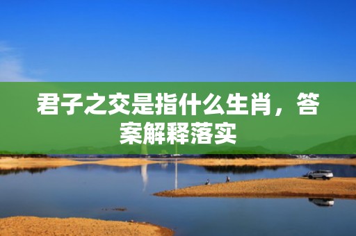 君子之交是指什么生肖，答案解释落实