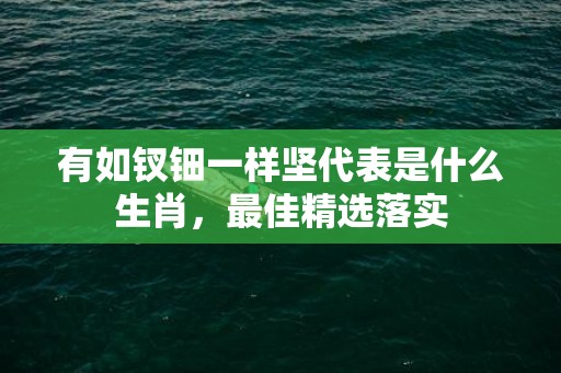 有如钗钿一样坚代表是什么生肖，最佳精选落实