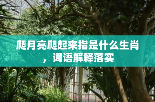 爬月亮爬起来指是什么生肖，词语解释落实