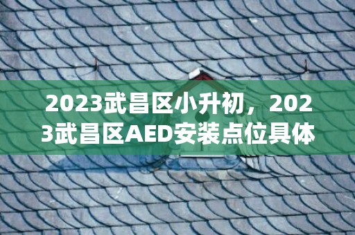 2023武昌区小升初，2023武昌区AED安装点位具体位置(完整名单)