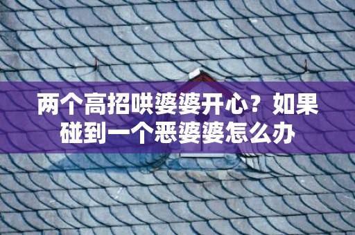 两个高招哄婆婆开心？如果碰到一个恶婆婆怎么办