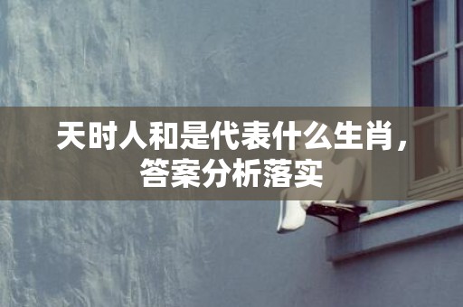 天时人和是代表什么生肖，答案分析落实