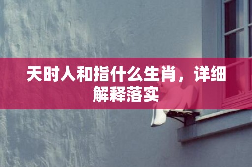 天时人和指什么生肖，详细解释落实