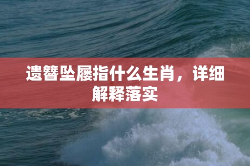 遗簪坠屦指什么生肖，详细解释落实