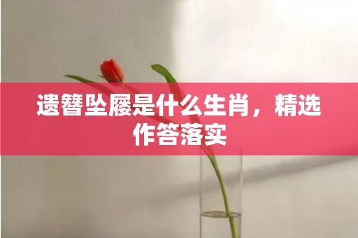 遗簪坠屦是什么生肖，精选作答落实