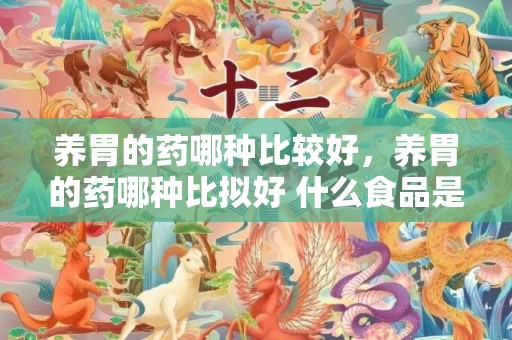 养胃的药哪种比较好，养胃的药哪种比拟好 什么食品是养胃的
