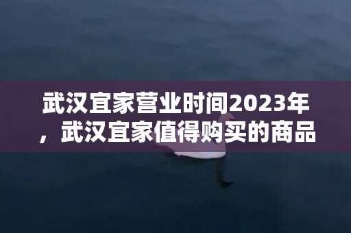 武汉宜家营业时间2023年，武汉宜家值得购买的商品