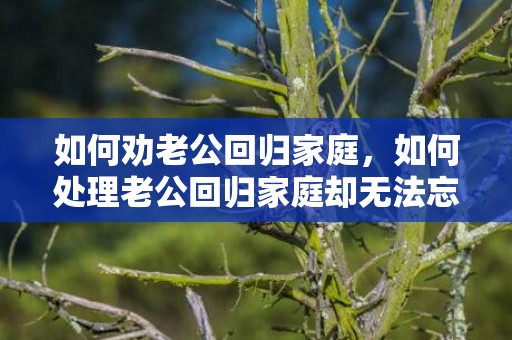 如何劝老公回归家庭，如何处理老公回归家庭却无法忘记小三的问题 男人选择回归家庭小三应该怎么做