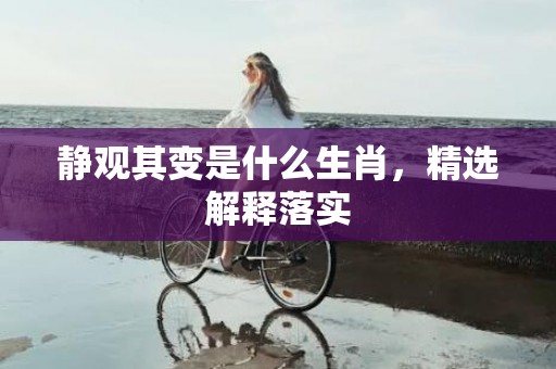 静观其变是什么生肖，精选解释落实