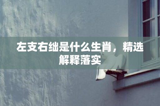 左支右绌是什么生肖，精选解释落实