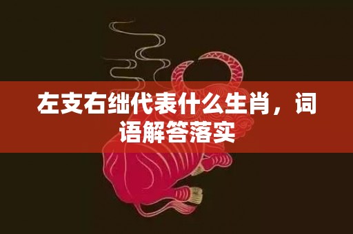 左支右绌代表什么生肖，词语解答落实