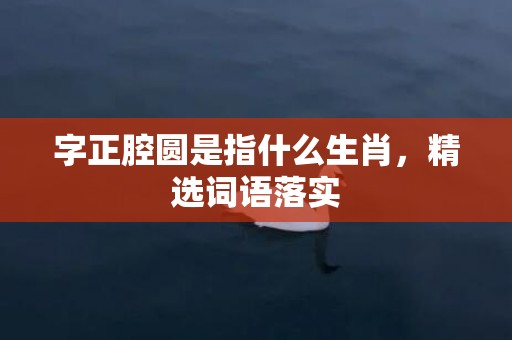 字正腔圆是指什么生肖，精选词语落实
