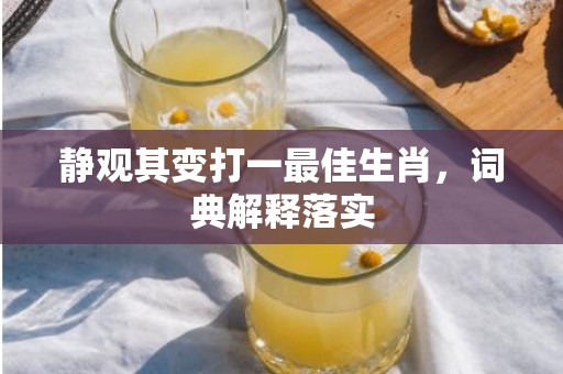 静观其变打一最佳生肖，词典解释落实