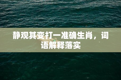 静观其变打一准确生肖，词语解释落实