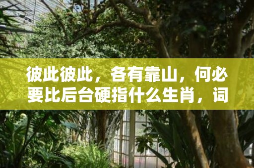 彼此彼此，各有靠山，何必要比后台硬指什么生肖，词语精选落实