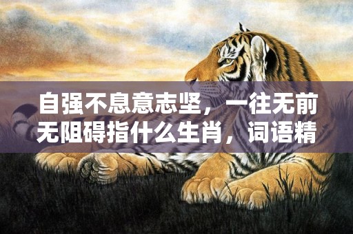 自强不息意志坚，一往无前无阻碍指什么生肖，词语精选落实