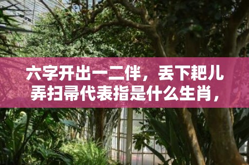 六字开出一二伴，丢下耙儿弄扫帚代表指是什么生肖，最佳精选落实