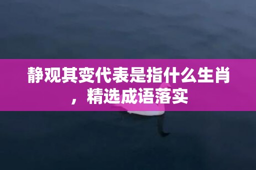 静观其变代表是指什么生肖，精选成语落实