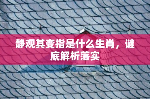 静观其变指是什么生肖，谜底解析落实