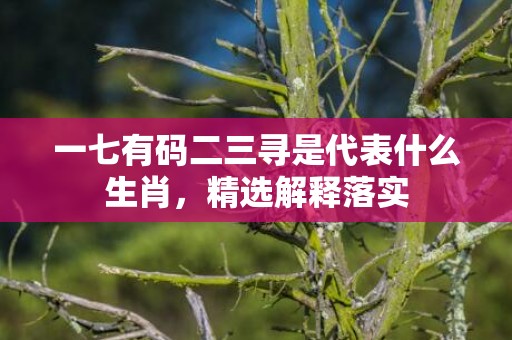 一七有码二三寻是代表什么生肖，精选解释落实