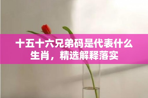 十五十六兄弟码是代表什么生肖，精选解释落实