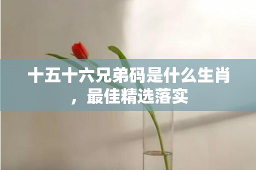 十五十六兄弟码是什么生肖，最佳精选落实
