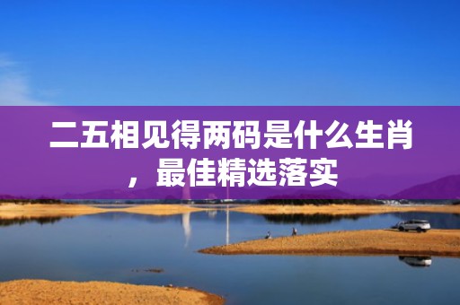 二五相见得两码是什么生肖，最佳精选落实