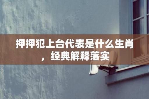 押押犯上台代表是什么生肖，经典解释落实