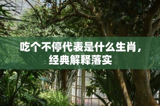 吃个不停代表是什么生肖，经典解释落实