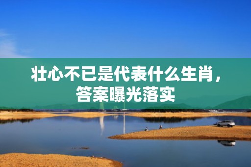 壮心不已是代表什么生肖，答案曝光落实