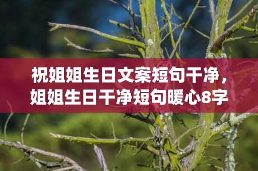 祝姐姐生日文案短句干净，姐姐生日干净短句暖心8字祝福(姐姐生日祝福语八个字霸气)