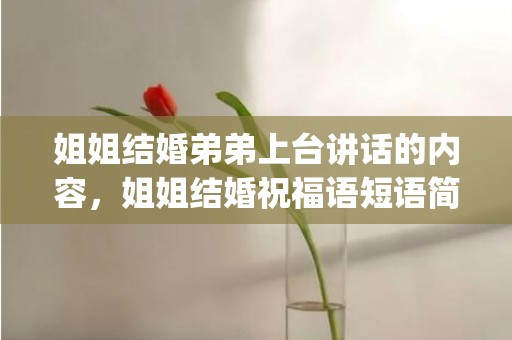 姐姐结婚弟弟上台讲话的内容，姐姐结婚祝福语短语简短精辟(姐姐结婚祝福语)