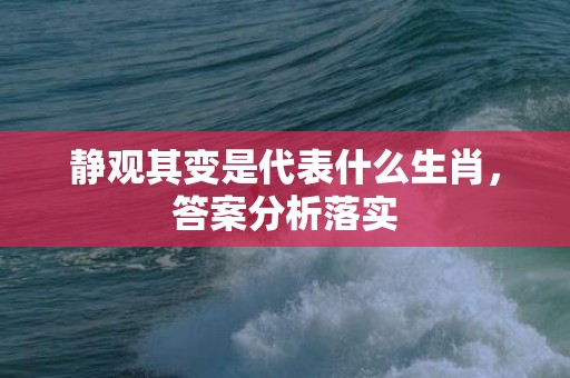 静观其变是代表什么生肖，答案分析落实